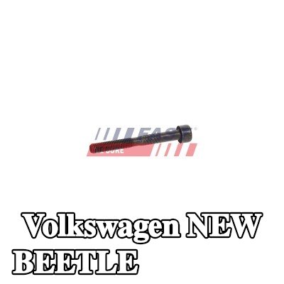 FAST برغي مشبك الحاقن — Volkswagen New Beetle