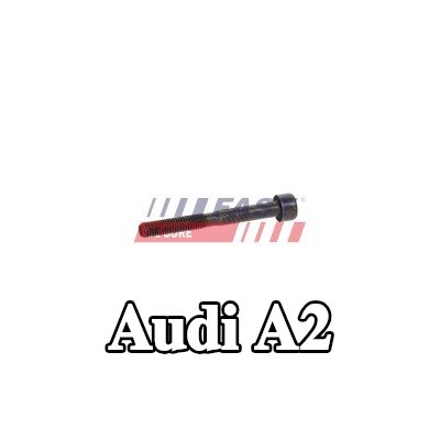 FAST برغي مشبك الحاقن — Audi A2