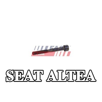 FAST برغي مشبك الحاقن — 2004 SEAT Altea