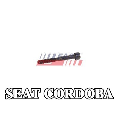 FAST برغي مشبك الحاقن — SEAT Cordoba