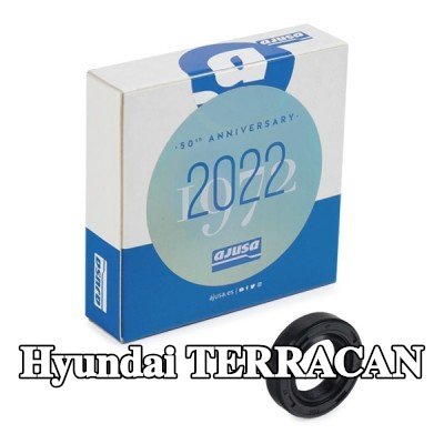 AJUSA حشية العمود، مضخة الزيت — Hyundai Terracan