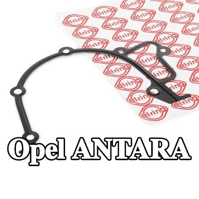 ELRING حشية، مضخة الزيت — 2006 Opel Antara