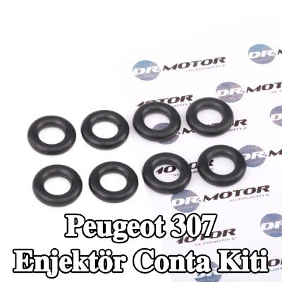 DR.MOTOR AUTOMOTIVE Enjektör conta kiti — 2000 Peugeot 307