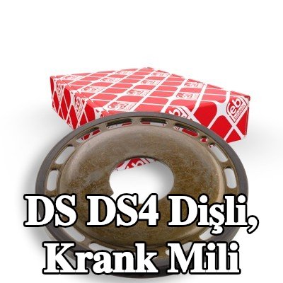FEBI BILSTEIN Dişli, krank mili — DS Ds4