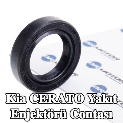 DR.MOTOR AUTOMOTIVE Yakıt enjektörü contası — 2004 Kia Cerato
