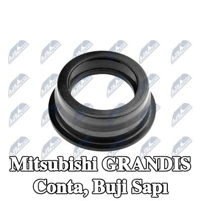 NTY Conta, buji sapı — Mitsubishi Grandis