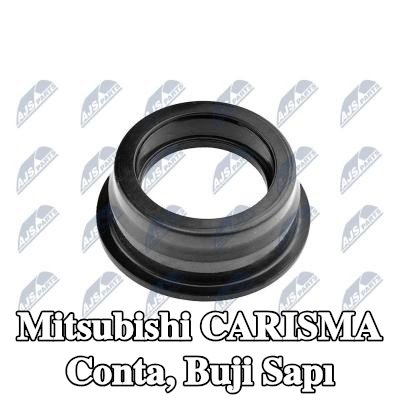 NTY Conta, buji sapı — Mitsubishi Carisma