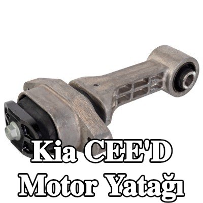 FEBI BILSTEIN Motor yatağı, arka — 2017 Kia Cee'd