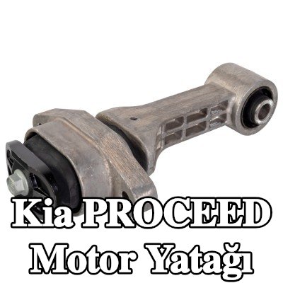 FEBI BILSTEIN Motor yatağı, arka — 2012 Kia Proceed