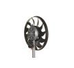 MAHLE Fan, radyatör 300mm, radyatör fanı kapağı olmadan — SEAT Exeo (6)
