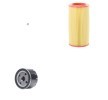 RIDEX مجموعة الفلاتر — Renault 19 (1)