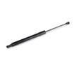 FEBI BILSTEIN Bagaj kapağı amortisörü (Her iki taraf), 439mm — 2012 Volkswagen Golf (2)