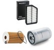 RIDEX Filtre kiti — Kia Carens (1)
