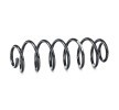 SACHS Helezon yay — Volkswagen Beetle (2)