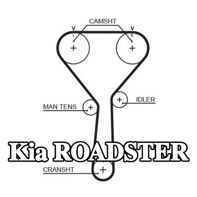 GATES حزام التوقيت PowerGrip, Number of Teeth: 154, 1232mm — Kia Roadster