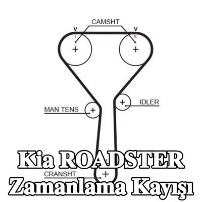 GATES Triger Kayışı PowerGrip, Number of Teeth: 154, 1232mm — Kia Roadster