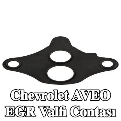 ELRING EGR valfi contası — 2004 Chevrolet Aveo