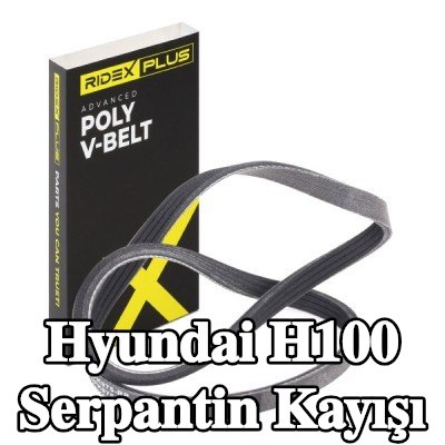 RIDEX PLUS Serpantin kayışı 975mm, Number of ribs: 4 — 2000 Hyundai H100