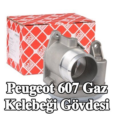 FEBI BILSTEIN Gaz kelebeği gövdesi — 2008 Peugeot 607