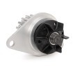 BOSCH Su pompası ve triger kayışı kiti Diş Sayısı: 100, Width: 17mm — Citroën C2 (8)