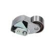 KAVO PARTS Zincir gergi kasnağı — Hyundai Staria (3)