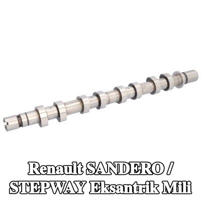 FEBI BILSTEIN Egzoz tarafı eksantrik mili — Renault Sandero / Stepway