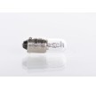 BOSCH Ampul — Mercedes-Benz T2 (4)