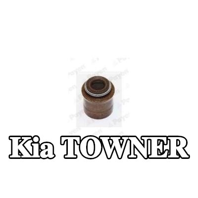 PAYEN حشية صمام — Kia Towner