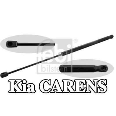 FEBI BILSTEIN دعامة الباب الخلفي الخلفية, كلا الجانبين, 300mm — 2012 Kia Carens