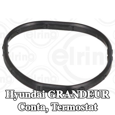ELRING Conta, termostat — Hyundai Grandeur