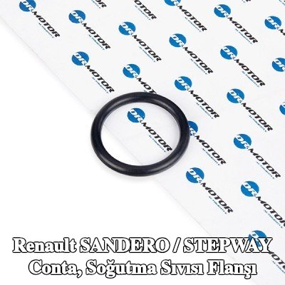 DR.MOTOR AUTOMOTIVE Conta, soğutma sıvısı flanşı — Renault Sandero / Stepway