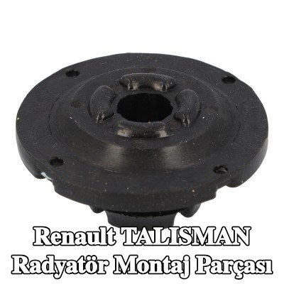 FEBI BILSTEIN Radyatör yuvası Alt — Renault Talisman