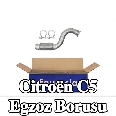 HELLA Egzoz Borusu — Citroën C5