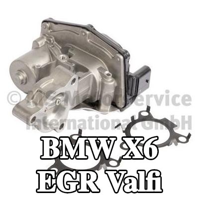 PIERBURG Contalı/sızdırmazlık elemanlı EGR valfi — BMW X6