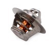 CALORSTAT by Vernet Termostat 83°C, 53, 5mm, contalı/sızdırmaz — Citroën Axel (3)