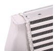 RIDEX Intercooler — Opel Tigra (4)