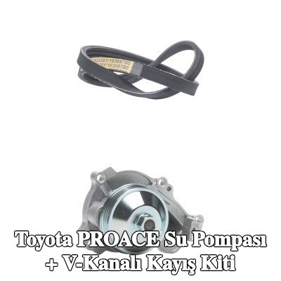 RIDEX Su Pompası + V-Kanalı Kayış Kiti — Toyota Proace