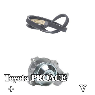 RIDEX مضخة الماء + مجموعة الحزام المضلع على شكل V — Toyota Proace