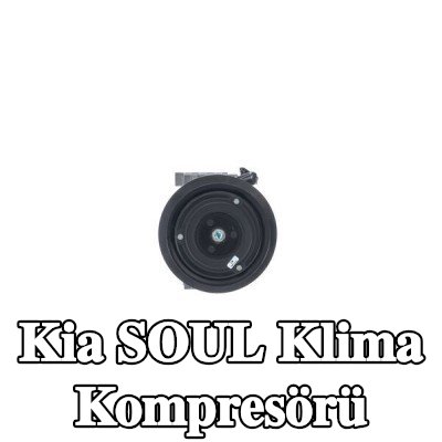 MAHLE Sızdırmazlık Halkalı Klima Kompresörü — 2012 Kia Soul