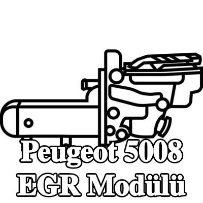 VALEO EGR soğutuculu EGR Modülü, conta/sızdırmazlık elemanları ile, vakum baypaslı — Peugeot 5008