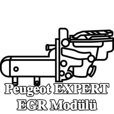 VALEO EGR soğutuculu EGR Modülü, conta/sızdırmazlık elemanları ile, vakum baypaslı — 2016 Peugeot Expert