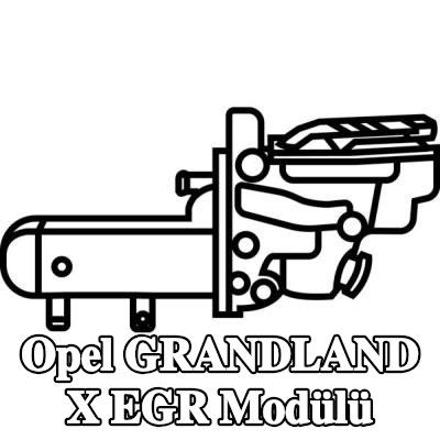 VALEO EGR soğutuculu EGR Modülü, conta/sızdırmazlık elemanları ile, vakum baypaslı — Opel Grandland X