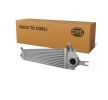 HELLA Intercooler — 2008 Nissan Qashqai (2)