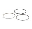 MAHLE Piston Segman Kiti — Volkswagen Lt (4)