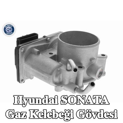 ACKOJA Gaz kelebeği gövdesi — Hyundai Sonata