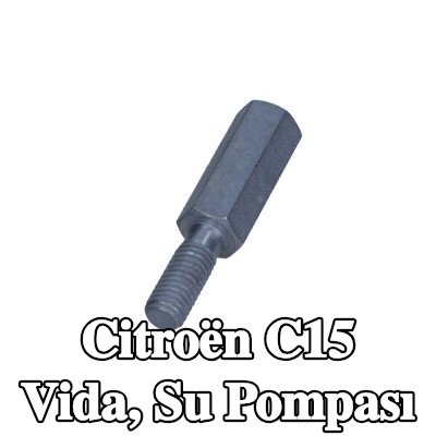 CITROEN/PEUGEOT Vida, su pompası — Citroën C15