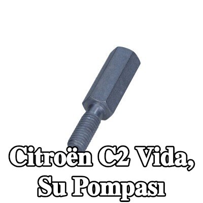 CITROEN/PEUGEOT Vida, su pompası — Citroën C2