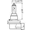 OSRAM Sis farı ampulü ORIGINAL LINE, ORİJİNAL — Nissan Interstar (5)