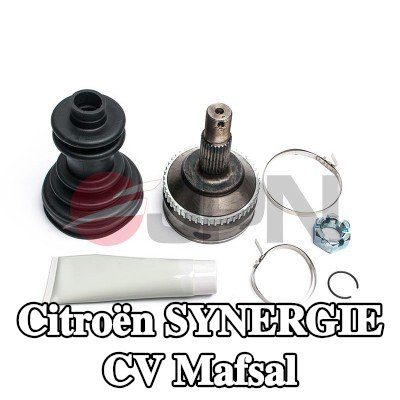 JPN CV Mafsal — Citroën Synergie