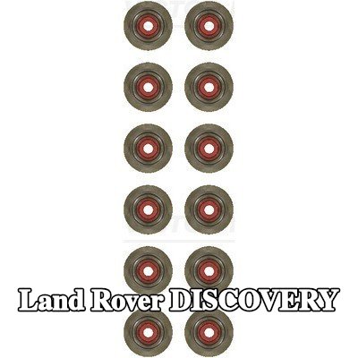 REINZ مجموعة سدادات صمامات الصمامات — 2004 Land Rover Discovery